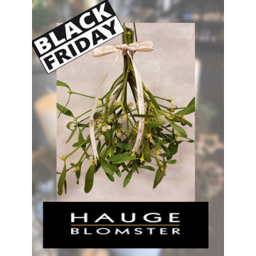 Black Friday Hauge Blomster